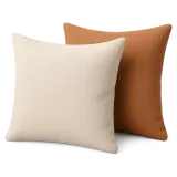 Two decorative cushions