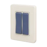 A wall light switch with two rockers